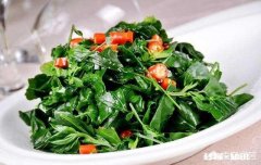 为什么有些野菜价格高，大面积种植的人却不多