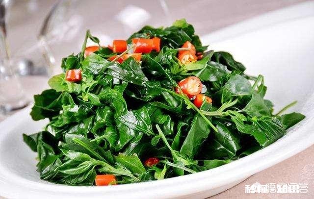 为什么有些野菜价格高，大面积种植的人却不多