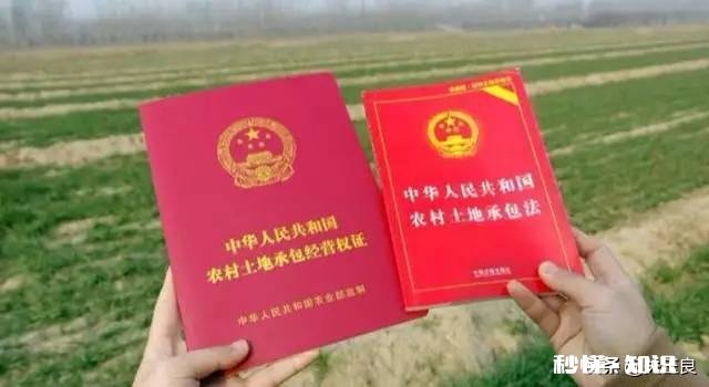 宅基地本村内流转，可以翻建吗