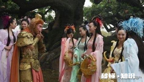 学习古文请推荐下从哪一本著作开始入门