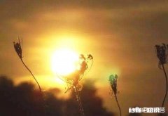 生活是什么有多少人能感觉到诗和远方的美好，而不是眼前的苟且