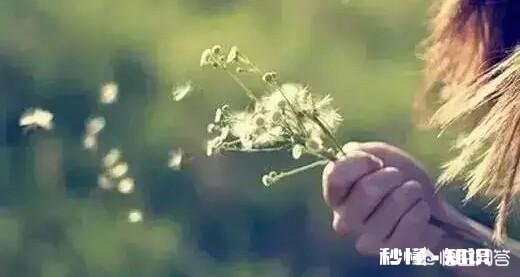 生活是什么有多少人能感觉到诗和远方的美好，而不是眼前的苟且