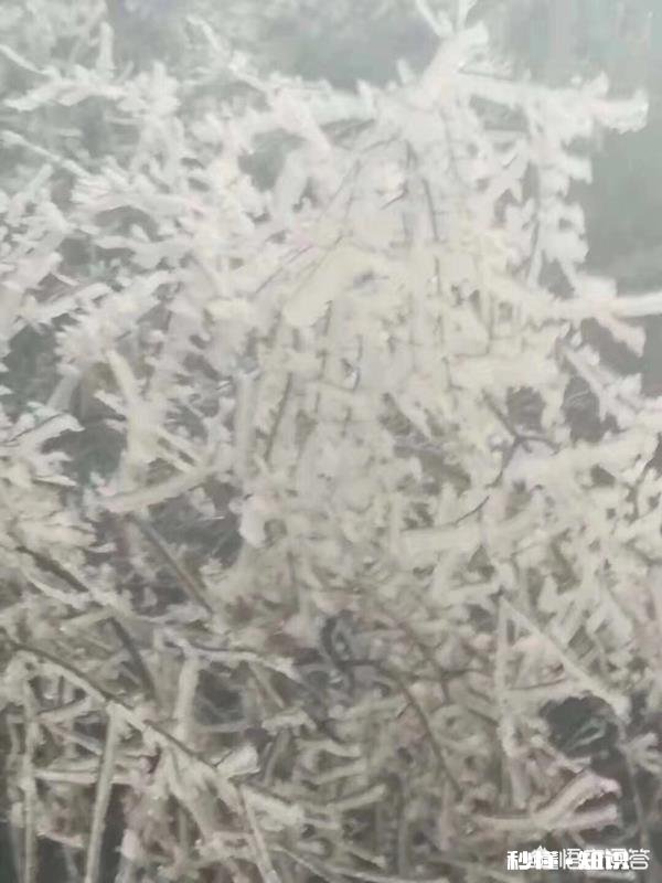 生活是什么有多少人能感觉到诗和远方的美好，而不是眼前的苟且