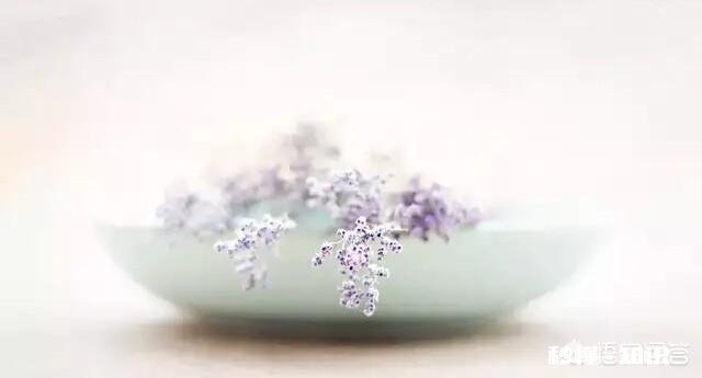 生活是什么有多少人能感觉到诗和远方的美好，而不是眼前的苟且