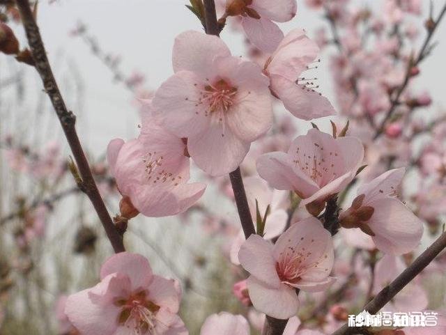 生活是什么有多少人能感觉到诗和远方的美好，而不是眼前的苟且