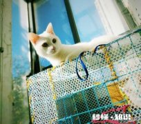 人的长像什么时候会定型，20岁以后会改变吗