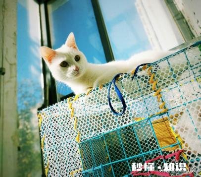 人的长像什么时候会定型,20岁以后会改变吗