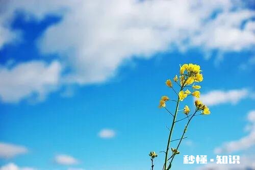 一个急性子和一个慢性子生活在一起是什么体验