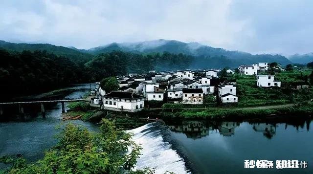 你对春天的赞美和感受是什么