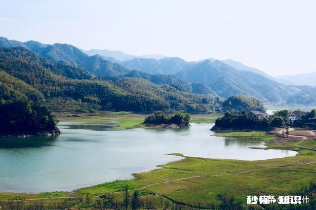 你对春天的赞美和感受是什么