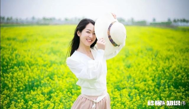 你对春天的赞美和感受是什么