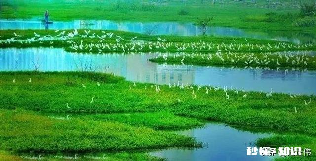 你对春天的赞美和感受是什么