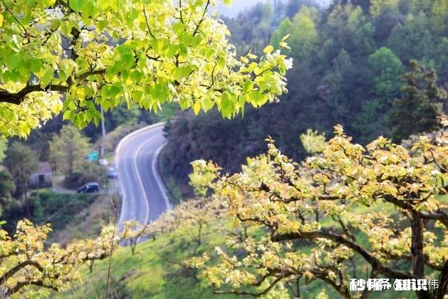 你对春天的赞美和感受是什么