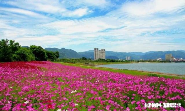 你对春天的赞美和感受是什么