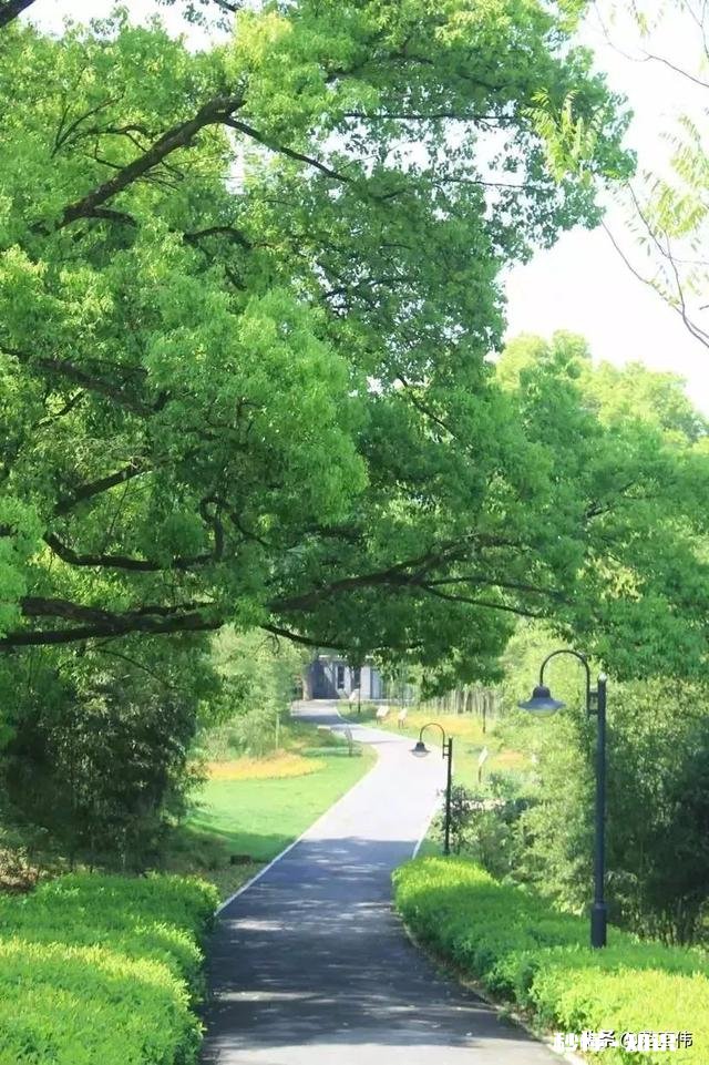 你对春天的赞美和感受是什么