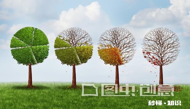 公司里有些年轻人,宁肯在单位里混日子,频繁跳槽,也不愿意去提升自己,你怎么看