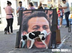 家里新来了一只小狗，家里以前的狗，突然就开始在家里乱尿，要如何处理