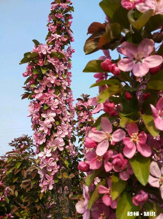 一个男人40多岁了还觉得家庭不重要,是什么下场