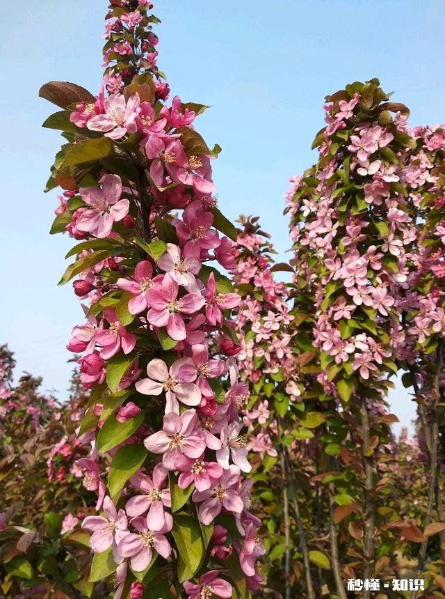 一个男人40多岁了还觉得家庭不重要,是什么下场