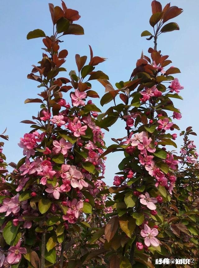 一个男人40多岁了还觉得家庭不重要,是什么下场