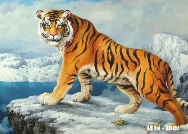 十二生肖哪个最有本事