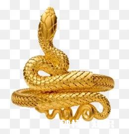 十二生肖哪个最有本事