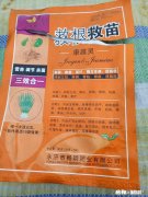 红豆衫的叶子有一部分突然枯了，有什么补救办法