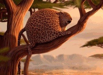 血脂高跟高血脂是一样吗