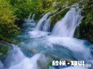 氨糖软骨素可以长期吃吗有什么作用呢