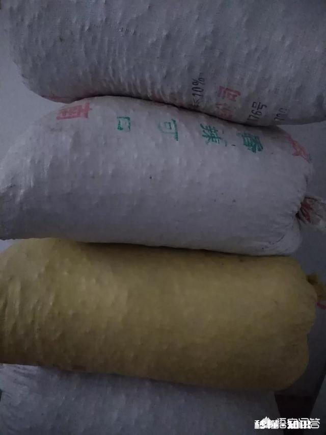 种植花生的成本和利润如何,2019年种花生还挣钱吗