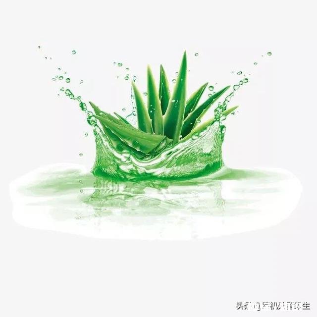 芦荟护肤有什么功效