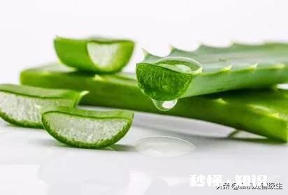 芦荟护肤有什么功效