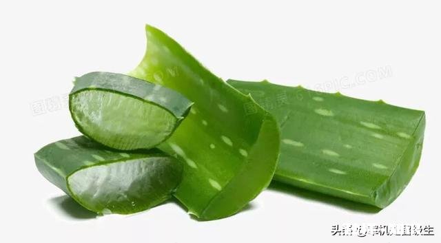 芦荟护肤有什么功效