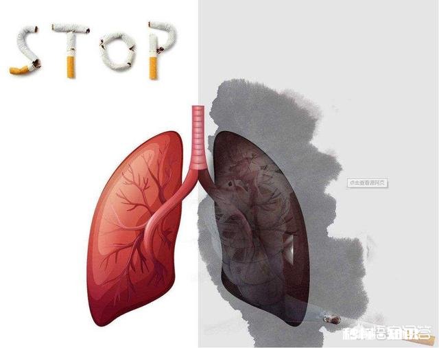 甘油三酯升高会不会造成心脑血管疾病如何控制甘油三酯