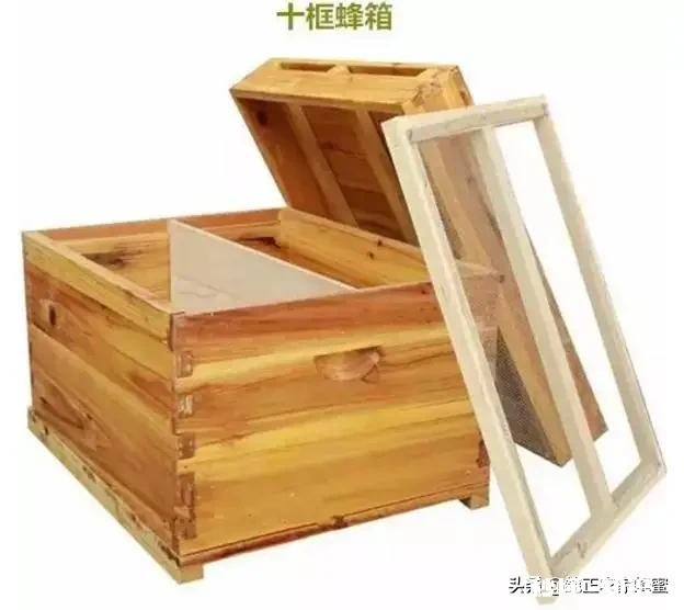 换新蜂箱什么时候好