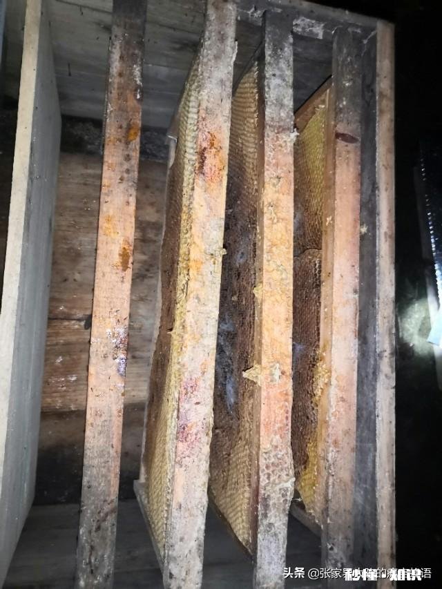 换新蜂箱什么时候好