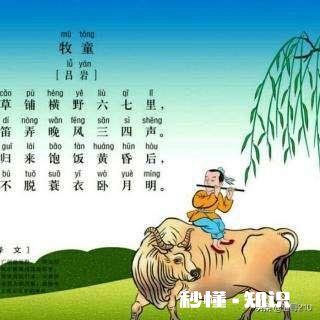 牧童是一个什么样的人