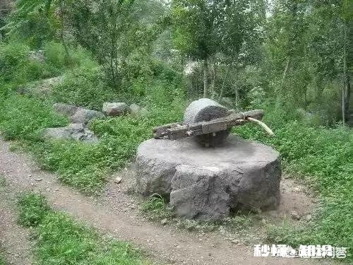 作为新时代的人类，该如何对传统文化进行继承和批判