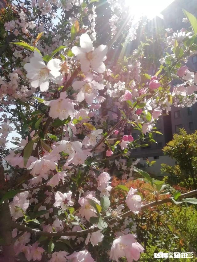 诺言就是远方的云,飘过去的是过往,落下的雨,你觉得呢