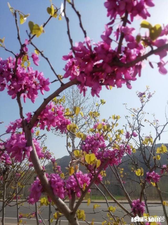 诺言就是远方的云,飘过去的是过往,落下的雨,你觉得呢