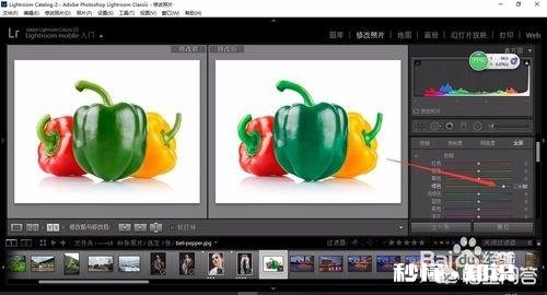 如何统一设置不同照片的色相、饱和度和色彩明度