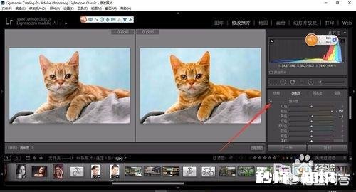 如何统一设置不同照片的色相、饱和度和色彩明度
