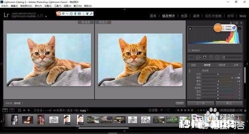 如何统一设置不同照片的色相、饱和度和色彩明度