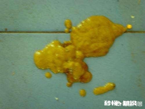 德牧吃了生肉后拉稀不成形,必须要吃药吗