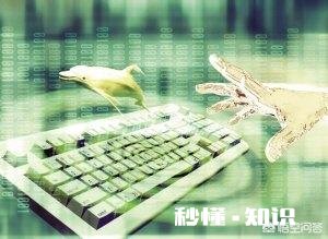 请问,员工因为品行的问题被辞退后,因为工作不顺利在网上发表对我公司的不当言论怎么办