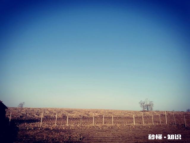 孕妈们晚上一般都是几点睡觉呢