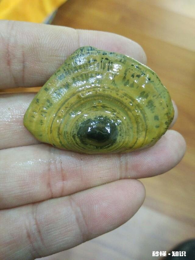 动辄上亿的奇石，到底有什么魅力