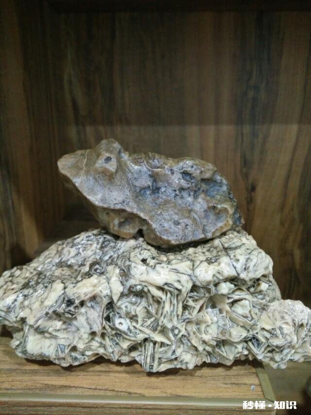 动辄上亿的奇石，到底有什么魅力