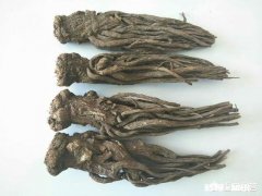 青少年可以喝当归黄芪西洋参泡水吗