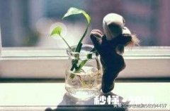 爱错了一个人和错过了一个人哪个更加遗憾